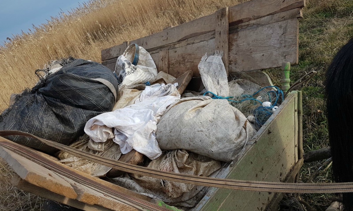 Peste 250 kg peşte fără documente legale şi plase monofilament, confiscate de poliţiştii de frontieră tulceni