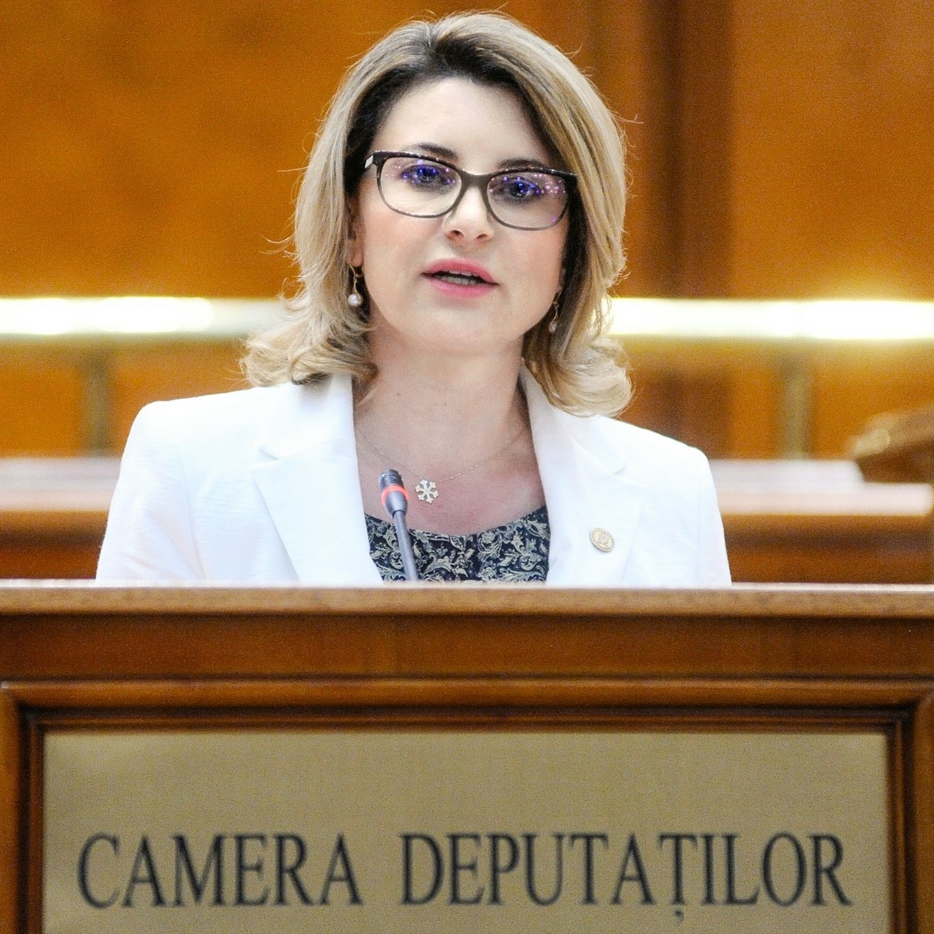 Deputatul Anișoara Radu: „Programele de finanţare pentru firmele înfiinţate înainte de 2017” şi-au dovedit deja viabilitatea economică