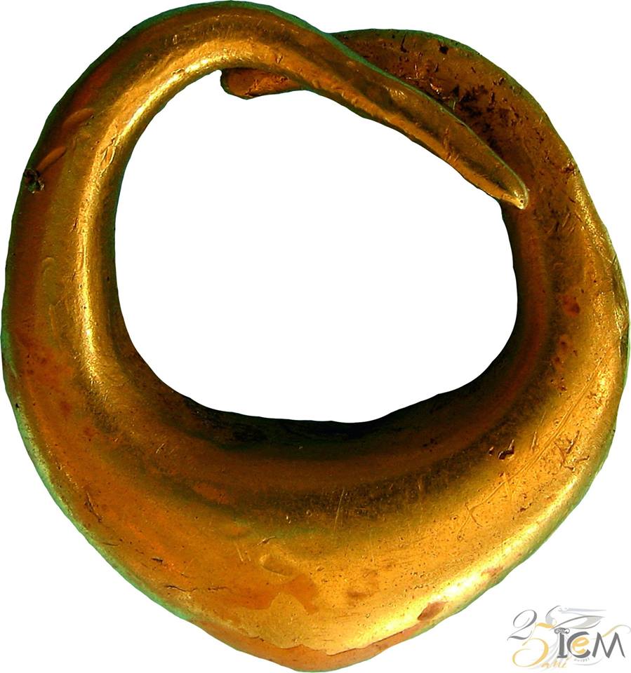 Inelul de buclă din epoca bronzului de la Jurilovca, expus la Muzeul de Istorie și Arheologie Tulcea