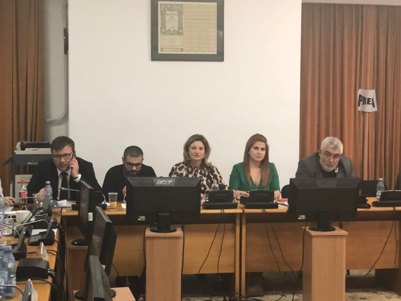 Deputatul Anișoara Radu: „Alocaţiile vor creşte de la 1 Martie. Amendamentul PNL era neconstituțional“