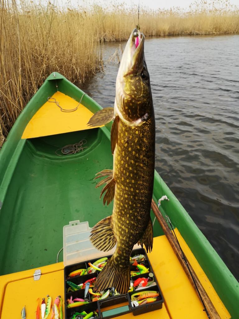 Concursurile de pescuit sportiv, vestitorii primăverii pentru turismul deltaic