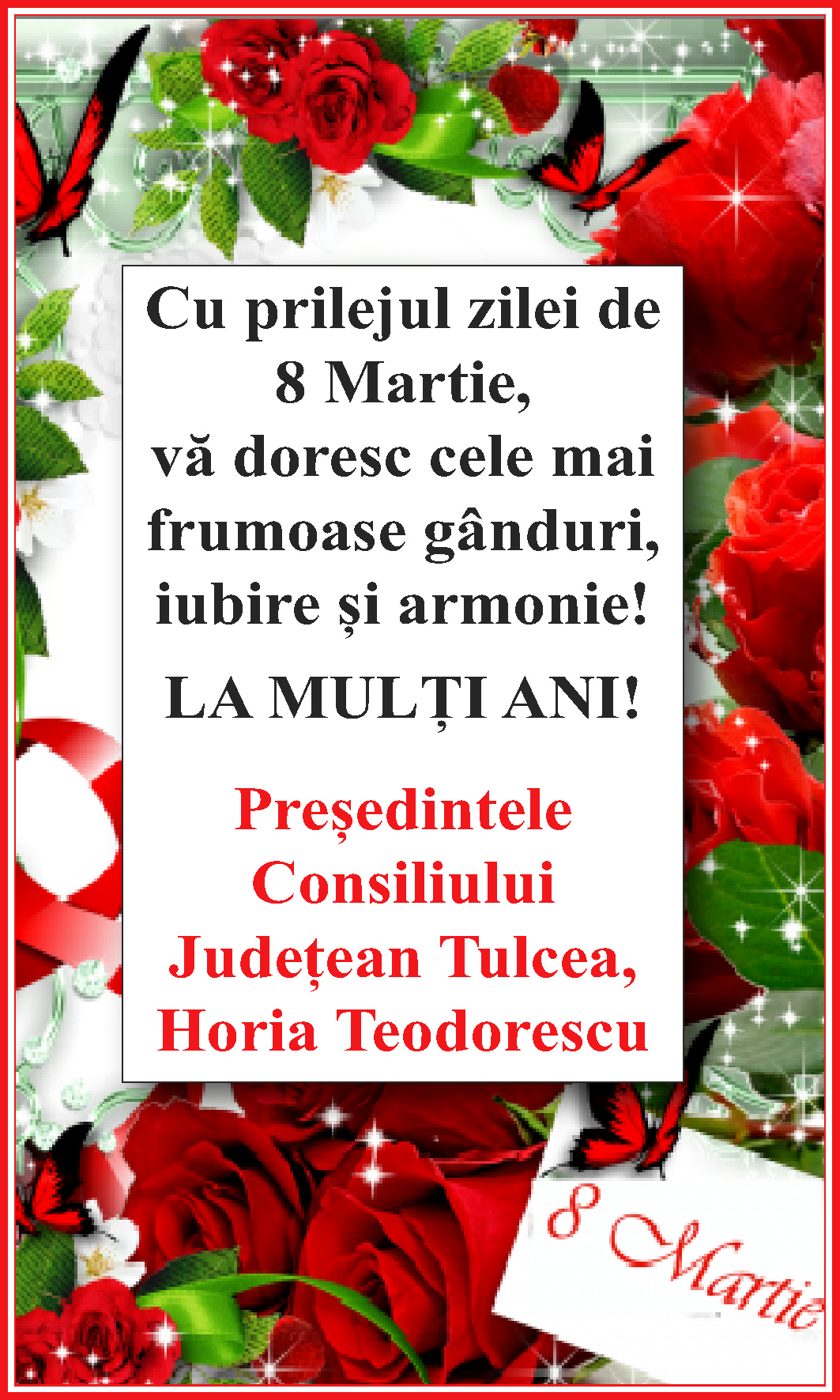 MESAJUL PREȘEDINTELUI CONSILIULUI JUDEȚEAN TULCEA, HORIA TEODORESCU