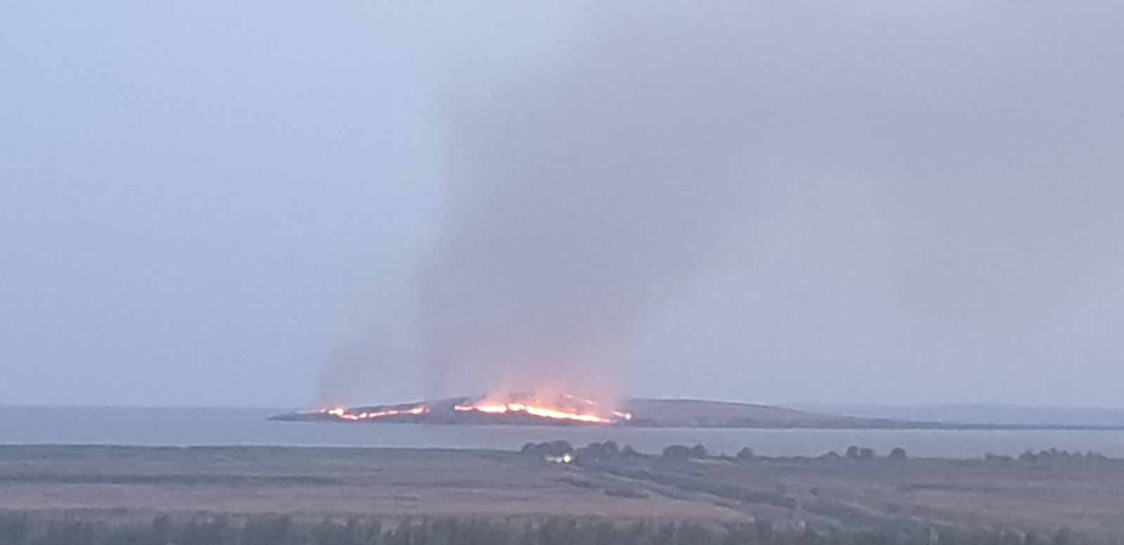 Incendiu pe Insula Popina. Păsările au fost deștepte și au zburat…