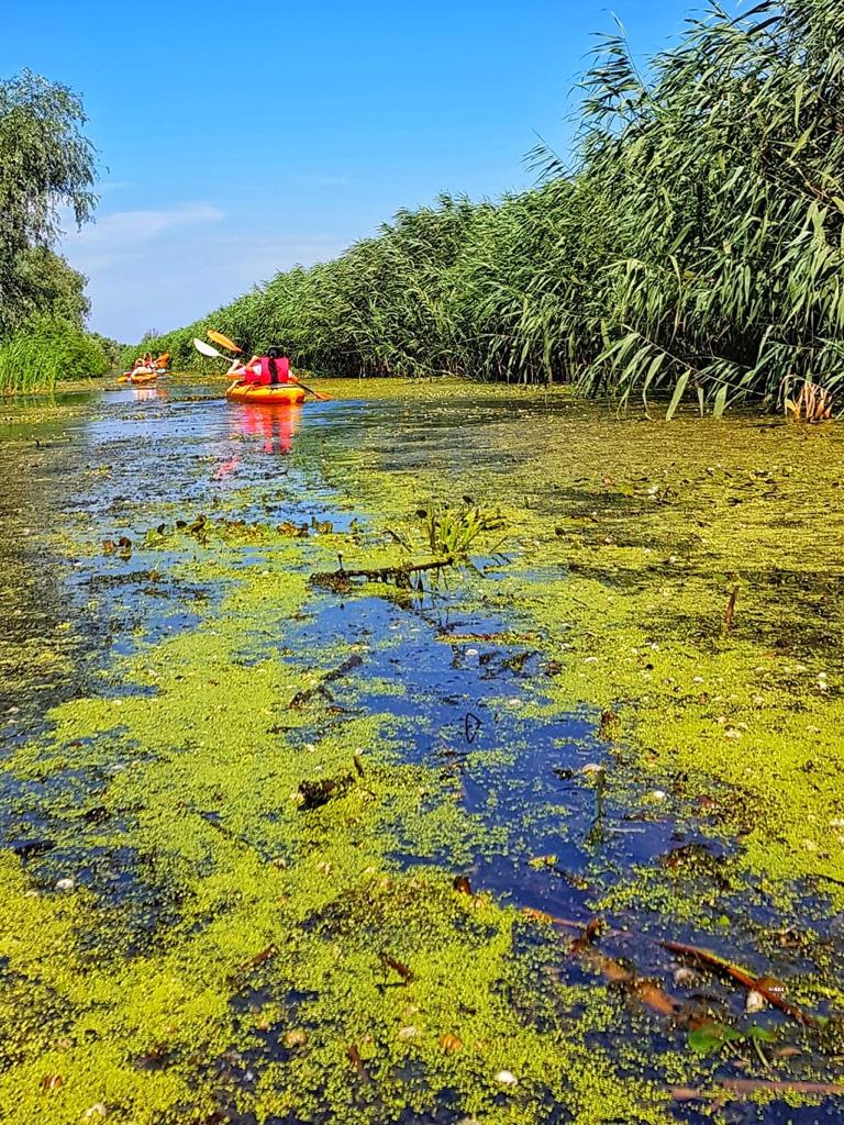 „Ecoturismul în cea mai sigură destinație turistică – Delta Dunării”