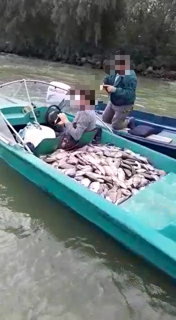 532 kg de peşte fără documente legale a fost confiscat de jandarmii tulceni