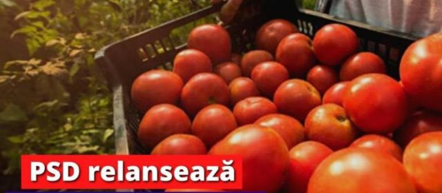 Ministrul PSD al Agriculturii, Petre Daea, lansează deja Programul Tomata 2023!