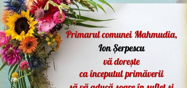 Mesajul primarului comunei Mahmudia, Ion Șerpescu