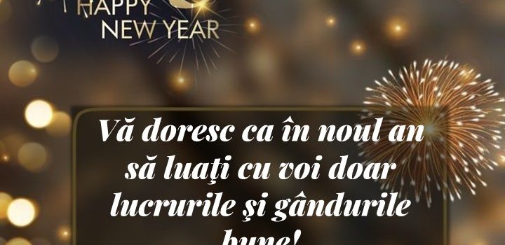 Vitali FINOGHEN, primarul comunei Sarichioi, vă urează un an nou fericit! La mulți ani 2025!