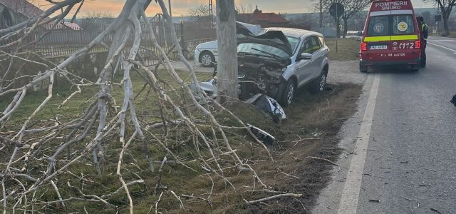 Accident la Cataloi: a evitat un câine și a intrat în copac