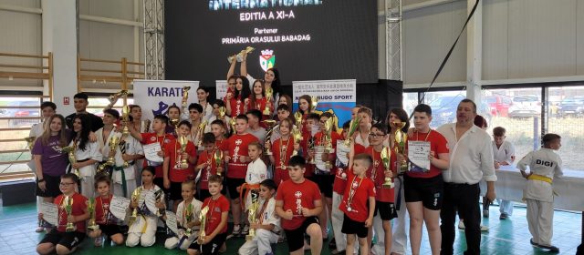 DANUBE DELTA CUP INTERNATIONAL