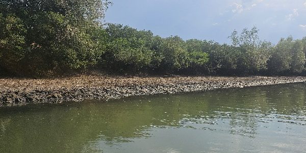 În atenția conducătorilor de nave și ambarcațiuni din perimetrul Rezervației Biosferei Delta Dunării