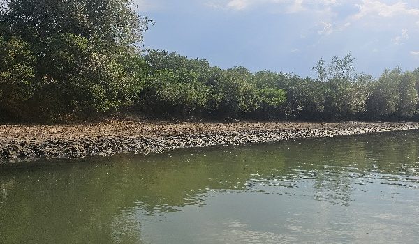 În atenția conducătorilor de nave și ambarcațiuni din perimetrul Rezervației Biosferei Delta Dunării