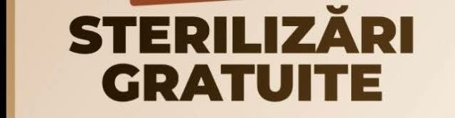 Campanie de sterilizări gratuite pentru câini în comuna Crișan