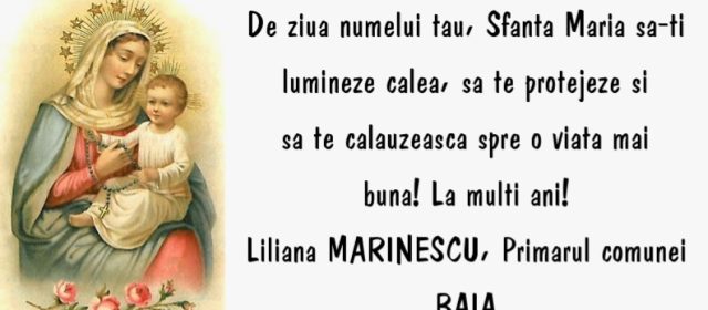 Mesajul primarului comunei Baia, Liliana Marinescu