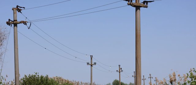 Rute de migrație mai sigure pentru păsări datorită proiectului LIFE Danube Free Sky 