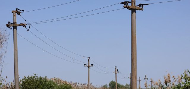 Rute de migrație mai sigure pentru păsări datorită proiectului LIFE Danube Free Sky 