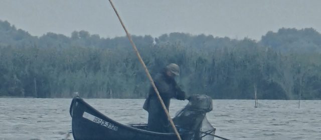 Deputatul Mircea Sergiu Constantinescu: „Oamenii din Delta Dunării beneficiază din nou de reducerea de 50% la taxele și impozitele locale”