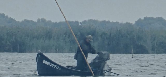 Deputatul Mircea Sergiu Constantinescu: „Oamenii din Delta Dunării beneficiază din nou de reducerea de 50% la taxele și impozitele locale”