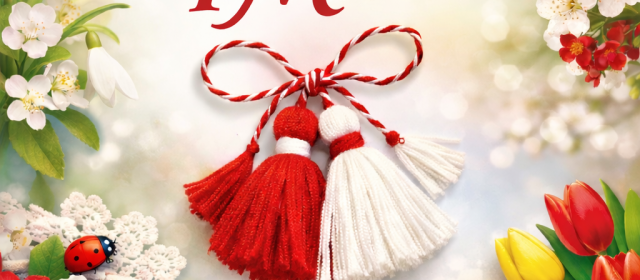 Mesajul primarului comunei Chilia Veche, Timur Ceauș