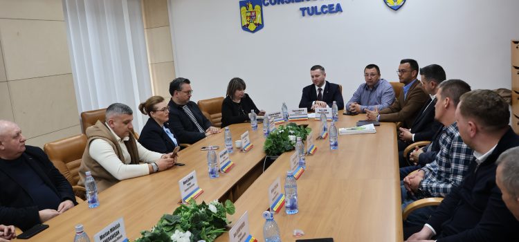 11 comune din Tulcea au accesat fonduri pentru creșterea eficienței energetice a sistemelor de iluminat public   