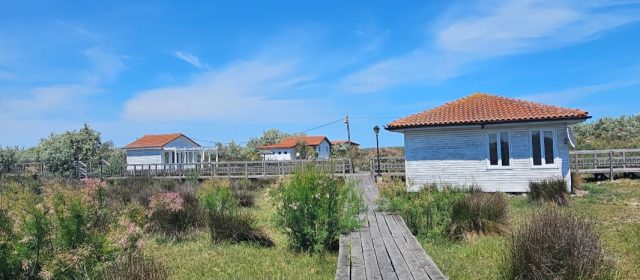 Militari Residence câștigă licitația pentru concesionarea terenului din zona plajei Sulina