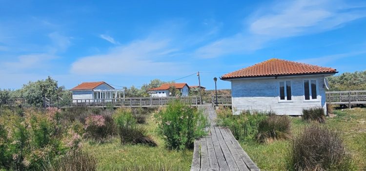 Militari Residence câștigă licitația pentru concesionarea terenului din zona plajei Sulina