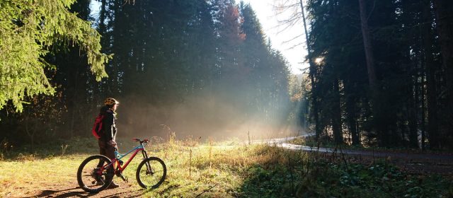 Tulcea investește în Aegyssus SportFest 2026: parteneriat cu Direcția Silvică și 30.000 lei din bugetul local