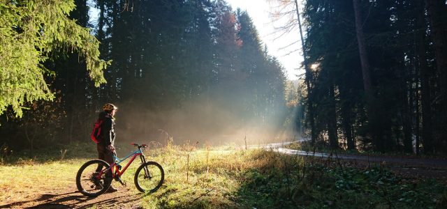 Tulcea investește în Aegyssus SportFest 2026: parteneriat cu Direcția Silvică și 30.000 lei din bugetul local