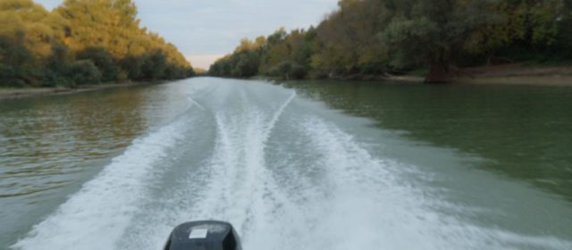 Motoarele puternice, interzise în Delta Dunării din 2034!Planul care ar putea schimba radical turismul
