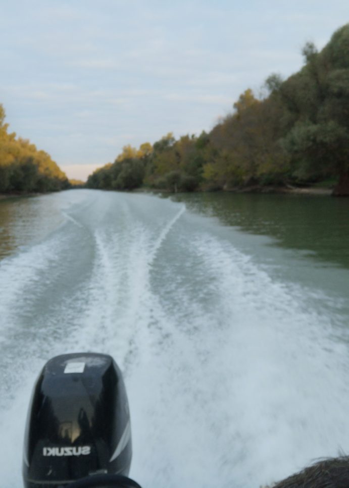 Motoarele puternice, interzise în Delta Dunării din 2034!Planul care ar putea schimba radical turismul