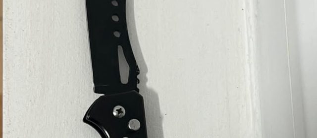 Cuțit descoperit asupra unui tânăr la un festival pe faleza Ivan Patzaichin. Intervenția jandarmilor a prevenit un posibil incident