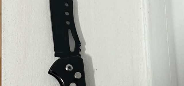 Cuțit descoperit asupra unui tânăr la un festival pe faleza Ivan Patzaichin. Intervenția jandarmilor a prevenit un posibil incident