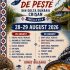 SĂRBĂTOAREA BORȘULUI DE PEȘTE DIN DELTA DUNĂRII – CRIȘAN, EDIȚIA A VII-A 