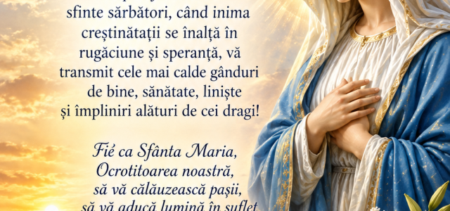 MESAJ COMUNA MAHMUDIA